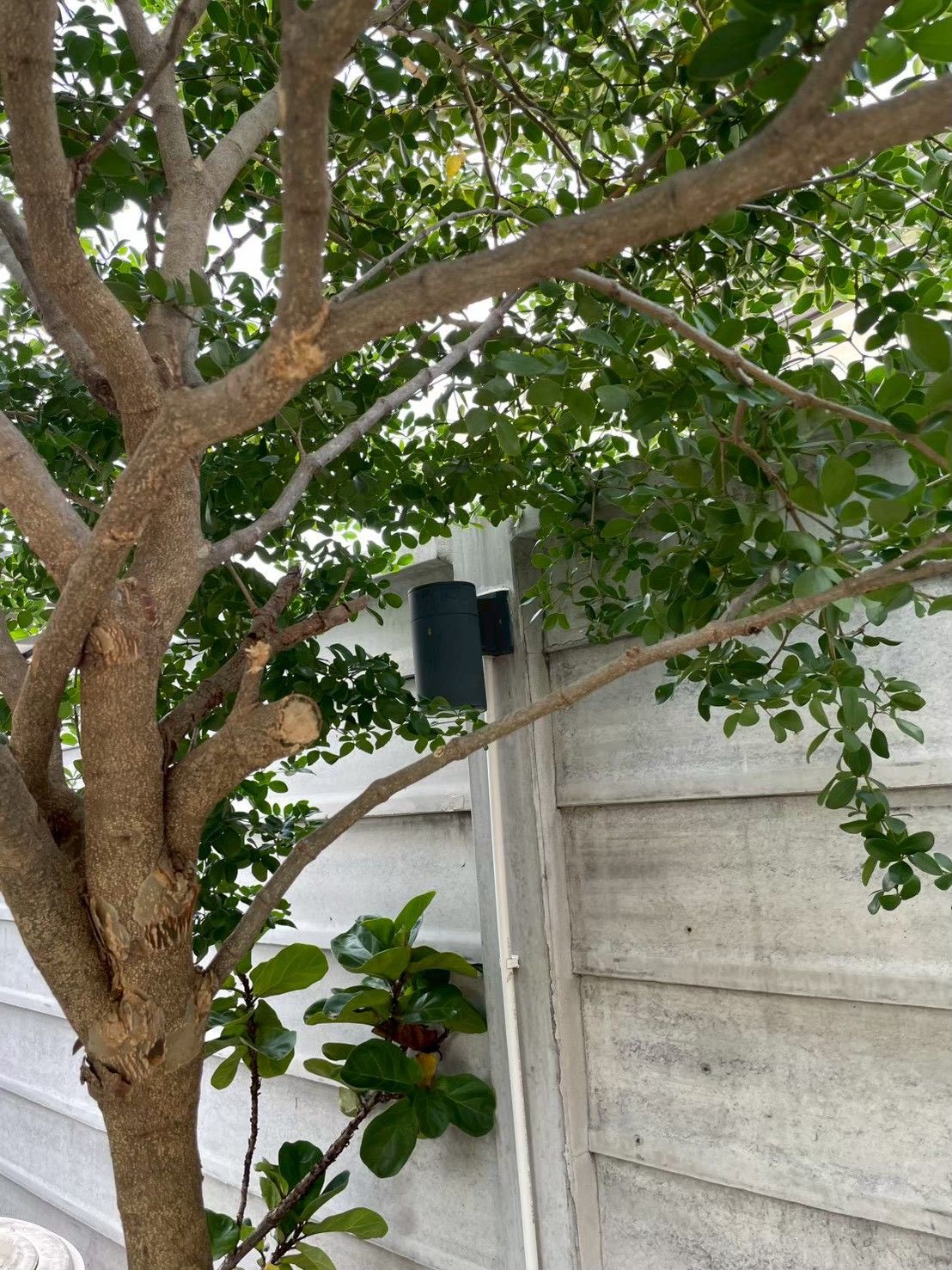 โคมไฟดำ Outdoor บน Column ผนังรั้ว บ้านกรุงเทพกรีฑา
